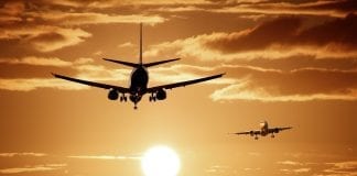 Becas para cursos en Egipto, para agrónomos argentinos, EICA Becas para cursos en Egipto, para agrónomos argentinos, EICA