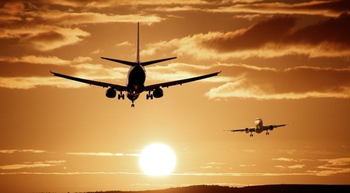 Becas para cursos en Egipto, para agrónomos argentinos, EICA Becas para cursos en Egipto, para agrónomos argentinos, EICA
