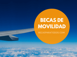 Fondo Prince Claus, becas de movilidad para artistas Fondo Prince Claus, becas de movilidad para artistas