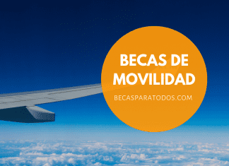 Fondo Prince Claus, becas de movilidad para artistas Fondo Prince Claus, becas de movilidad para artistas