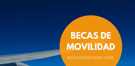Fondo Prince Claus, becas de movilidad para artistas Fondo Prince Claus, becas de movilidad para artistas