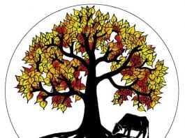 Peepal Farm, voluntariado en India para veterinarios y cineastas Peepal Farm, voluntariado en India para veterinarios y cineastas