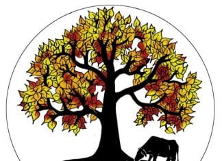 Peepal Farm, voluntariado en India para veterinarios y cineastas Peepal Farm, voluntariado en India para veterinarios y cineastas