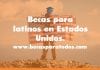 Becas de ensayo El Café del Futuro, para latinos en Estados Unidos. Becas de ensayo El Café del Futuro, para latinos en Estados Unidos.