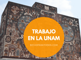 Trabajo en la UNAM, plazas para investigadores Trabajo en la UNAM, plazas para investigadores