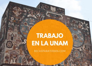 Trabajo en la UNAM, plazas para investigadores Trabajo en la UNAM, plazas para investigadores