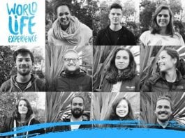 World Life Experience: convocatoria para viajar por el mundo World Life Experience: convocatoria para viajar por el mundo