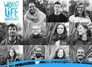 World Life Experience: convocatoria para viajar por el mundo World Life Experience: convocatoria para viajar por el mundo