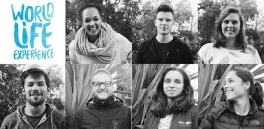 World Life Experience: convocatoria para viajar por el mundo World Life Experience: convocatoria para viajar por el mundo