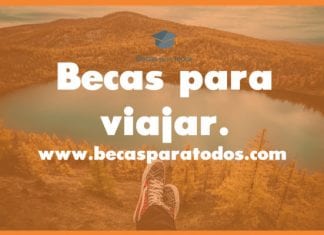 Becas para jóvenes españoles para viajar por Europa, Schwarzkopf Structure. Becas para jóvenes españoles para viajar por Europa, Schwarzkopf Structure.