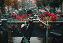 Becas de la OEA para estudiar Maestría en Desarrollo en Holanda Becas de la OEA para estudiar Maestría en Desarrollo en Holanda