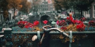 Becas de la OEA para estudiar Maestría en Desarrollo en Holanda Becas de la OEA para estudiar Maestría en Desarrollo en Holanda