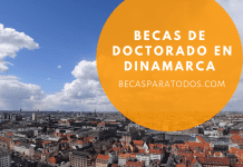 Becas de Doctorado en innovación en Dinamarca Becas de Doctorado en innovación en Dinamarca