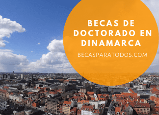 Becas de Doctorado en innovación en Dinamarca Becas de Doctorado en innovación en Dinamarca