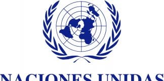 Viaja a Nueva York como delegado juvenil de México ante la ONU. Viaja a Nueva York como delegado juvenil de México ante la ONU.
