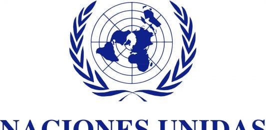 Viaja a Nueva York como delegado juvenil de México ante la ONU. Viaja a Nueva York como delegado juvenil de México ante la ONU.