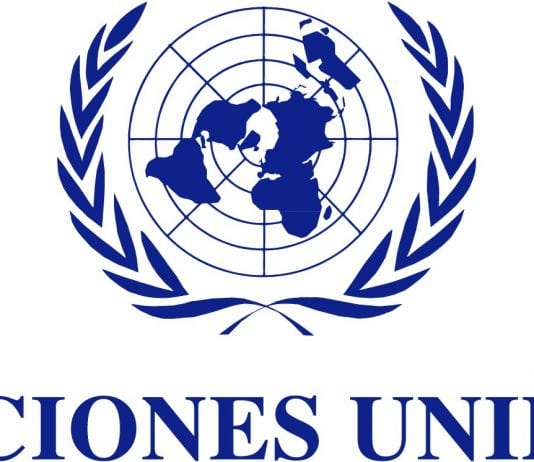 Viaja a Nueva York como delegado juvenil de México ante la ONU. Viaja a Nueva York como delegado juvenil de México ante la ONU.