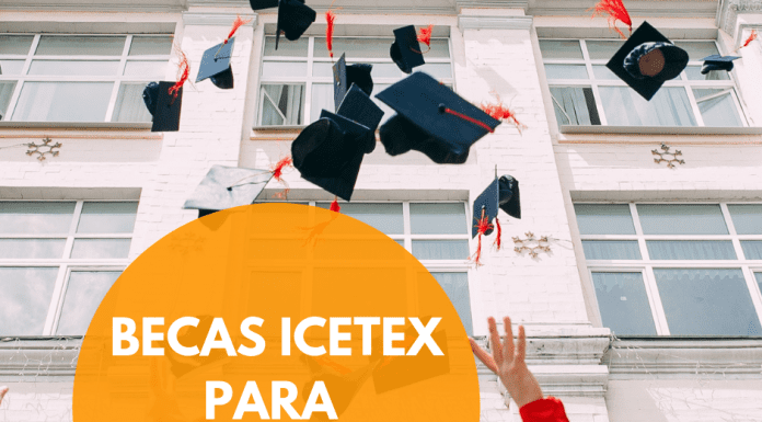 Becas para estudiar maestrías en Ecuador, para colombianos Becas para estudiar maestrías en Ecuador, para colombianos