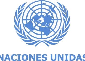 Pasantía en ONU México, paso, periodismo, avance. Pasantía en ONU México, paso, periodismo, avance.