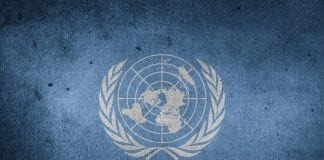Pasantía en la ONU México, Proyectos de Pubertad Pasantía en la ONU México, Proyectos de Pubertad