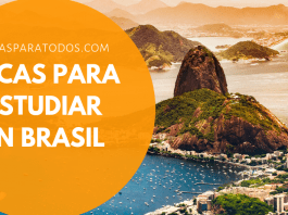 Becas para estudiar doctorado en Brasil, UNESP Becas para estudiar doctorado en Brasil, UNESP