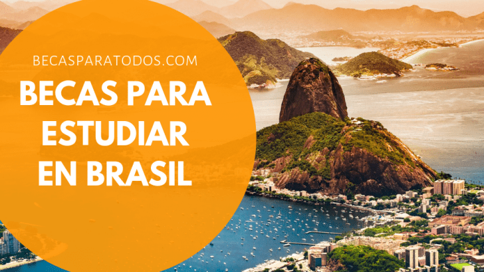 Becas para estudiar doctorado en Brasil, UNESP