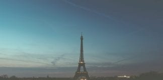 Becas OIV para investigación de enología y viticultura en París Becas OIV para investigación de enología y viticultura en París