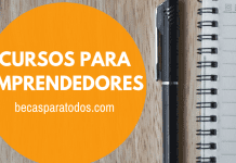 Becas Fulbright Chile, programa SUSI para emprendedores sociales Becas Fulbright Chile, programa SUSI para emprendedores sociales