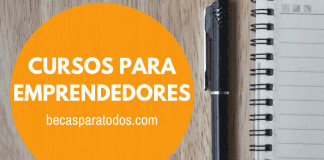 Becas Fulbright Chile, programa SUSI para emprendedores sociales Becas Fulbright Chile, programa SUSI para emprendedores sociales