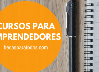 Becas Fulbright Chile, programa SUSI para emprendedores sociales Becas Fulbright Chile, programa SUSI para emprendedores sociales