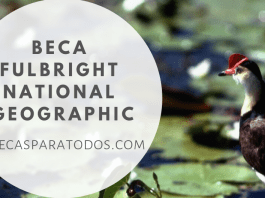 Beca Fulbright National Geographic, storytelling Beca Fulbright National Geographic, storytelling
