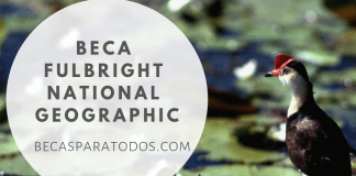 Beca Fulbright National Geographic, storytelling Beca Fulbright National Geographic, storytelling