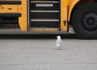 Estudiar en Canada Estudiar en Canada