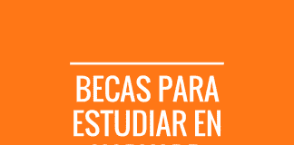 Becas para todos, para hacer un MBA en Harvard, Estados Unidos. Becas para todos, para hacer un MBA en Harvard, Estados Unidos.