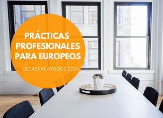 Prácticas profesionales Eurodisea, para europeos Prácticas profesionales Eurodisea, para europeos
