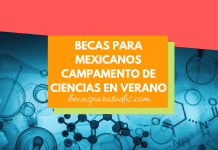 Becas de campamento de ciencias, Instituto Weizmann Becas de campamento de ciencias, Instituto Weizmann