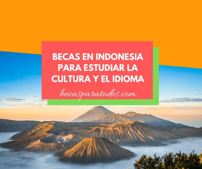 Becas en Indonesia, Darmasiswa, de cultura e idioma