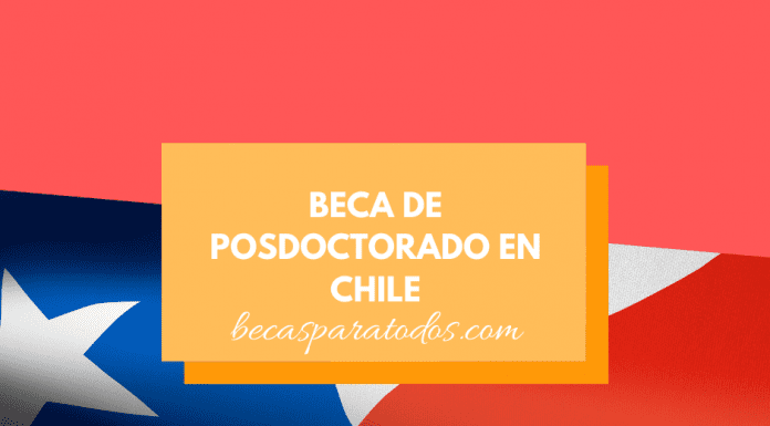 Beca para hacer un posdoctorado en Chile, neurociencias Beca para hacer un posdoctorado en Chile, neurociencias