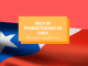 Beca para hacer un posdoctorado en Chile, neurociencias Beca para hacer un posdoctorado en Chile, neurociencias