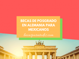 Becas de posgrado en Alemania, CIGARETTE Becas de posgrado en Alemania, CIGARETTE