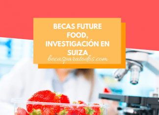 Becas Future Food de investigación en Suiza Becas Future Food de investigación en Suiza