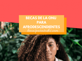 Becas de la ONU para afrodescendientes, formación en Suiza Becas de la ONU para afrodescendientes, formación en Suiza