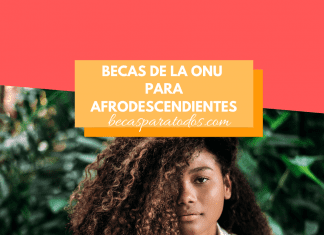 Becas de la ONU para afrodescendientes, formación en Suiza Becas de la ONU para afrodescendientes, formación en Suiza