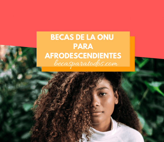 Becas de la ONU para afrodescendientes, formación en Suiza Becas de la ONU para afrodescendientes, formación en Suiza
