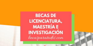 Becas de estudio e investigación en Polonia Becas de estudio e investigación en Polonia