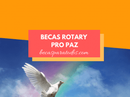 Becas Rotary para estudios de paz Becas Rotary para estudios de paz
