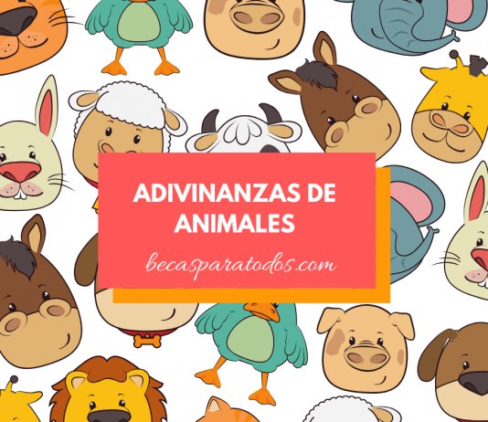Adivinanzas de animales Adivinanzas de animales