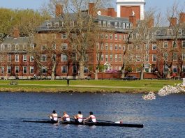 GAIN ACCESS TO U.S.A. RESULTADOS DE ADMISION AL 30 ABRIL 2020 GAIN ACCESS TO U.S.A. RESULTADOS DE ADMISION AL 30 ABRIL 2020