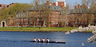 GAIN ACCESS TO U.S.A. RESULTADOS DE ADMISION AL 30 ABRIL 2020 GAIN ACCESS TO U.S.A. RESULTADOS DE ADMISION AL 30 ABRIL 2020