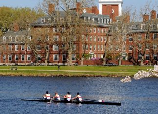 GAIN ACCESS TO U.S.A. RESULTADOS DE ADMISION AL 30 ABRIL 2020 GAIN ACCESS TO U.S.A. RESULTADOS DE ADMISION AL 30 ABRIL 2020